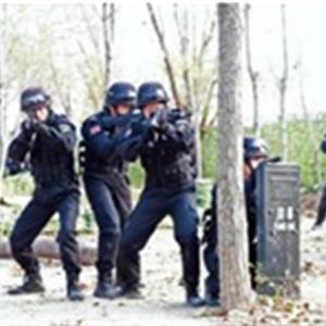 法律事務（特警方向）